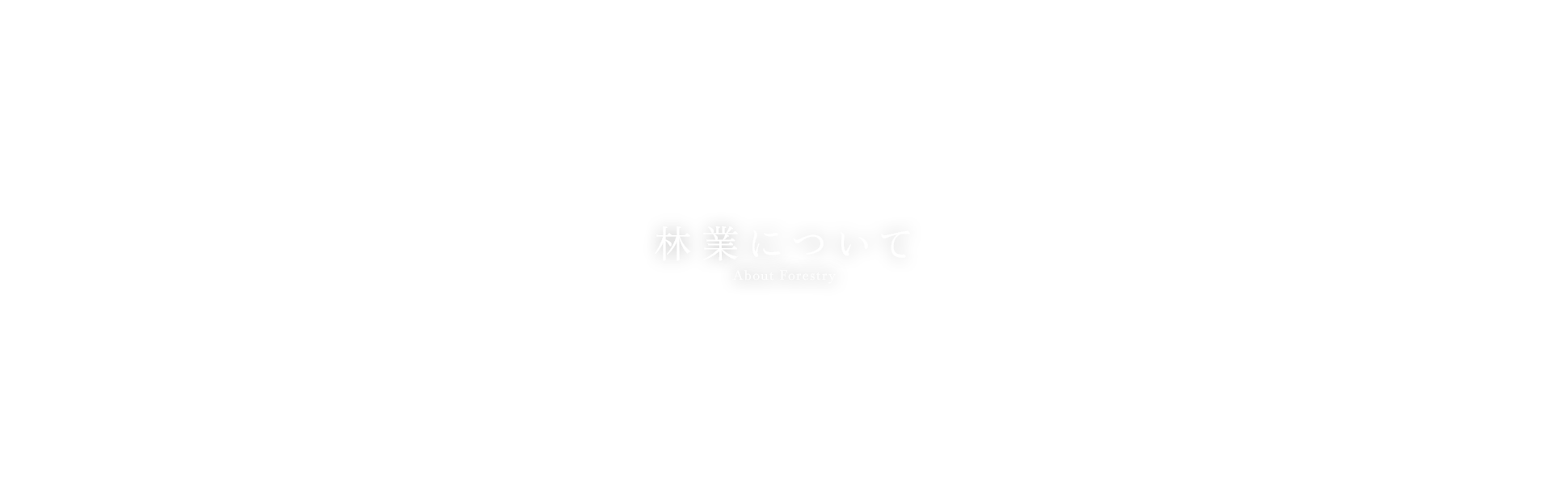 林業について